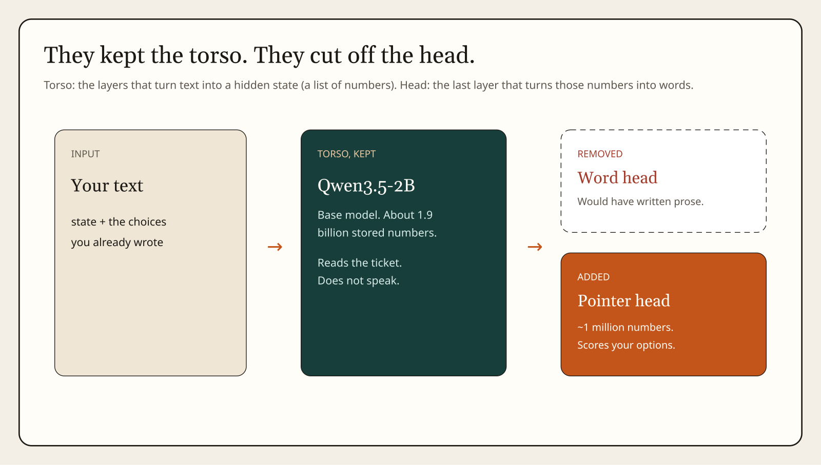 Transformer torso kept; language head removed; pointer head scores options