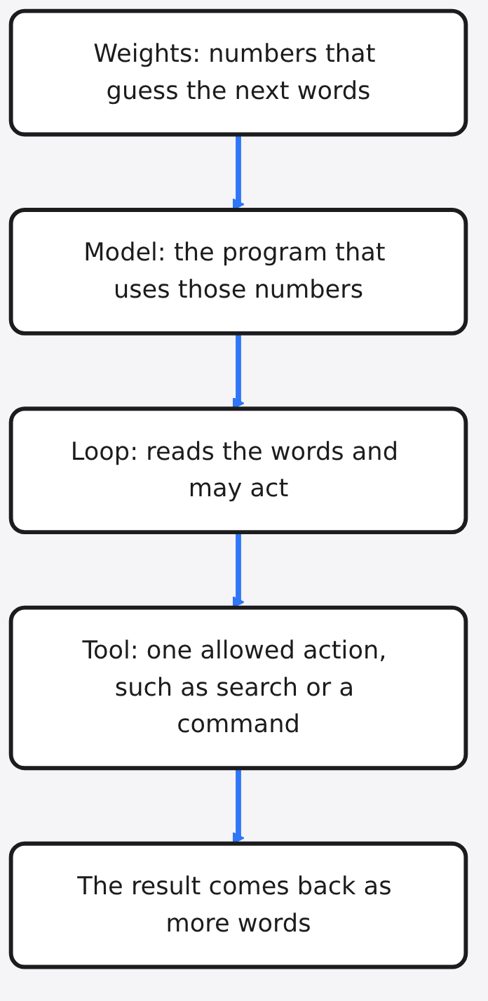 Diagram: Weights: numbers that guess the next words → Model: the program that uses those numbers → Loop: reads the words and may act → Tool: one allowed action, such as search or a