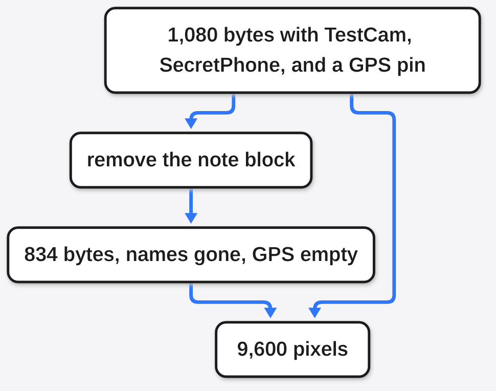 EXIF removal test: a 1,080 byte JPEG with TestCam, SecretPhone and a GPS pin becomes 834 bytes with the same 9,600 pixels